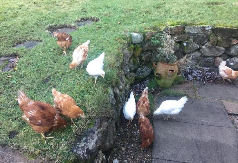 The Sheiling B&b   Nc 500