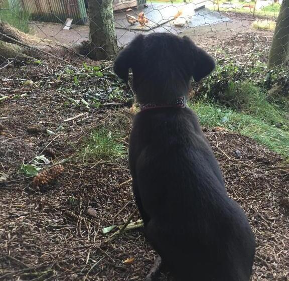 The Sheiling B&b   Nc 500