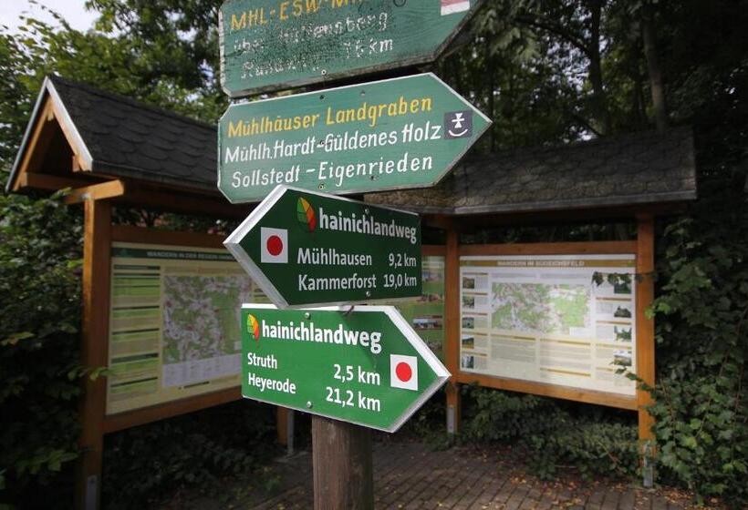 Общежитие Hainich Zeit