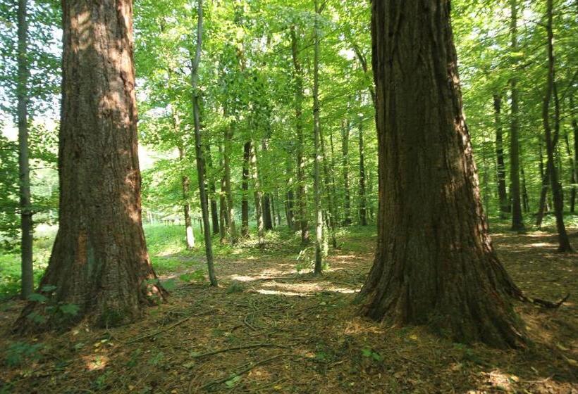 Общежитие Hainich Zeit