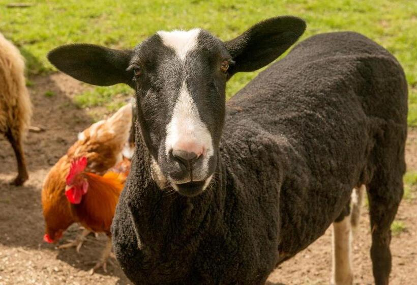 فندق صغير Landgasthof Kasch   Hotel Und Restaurant