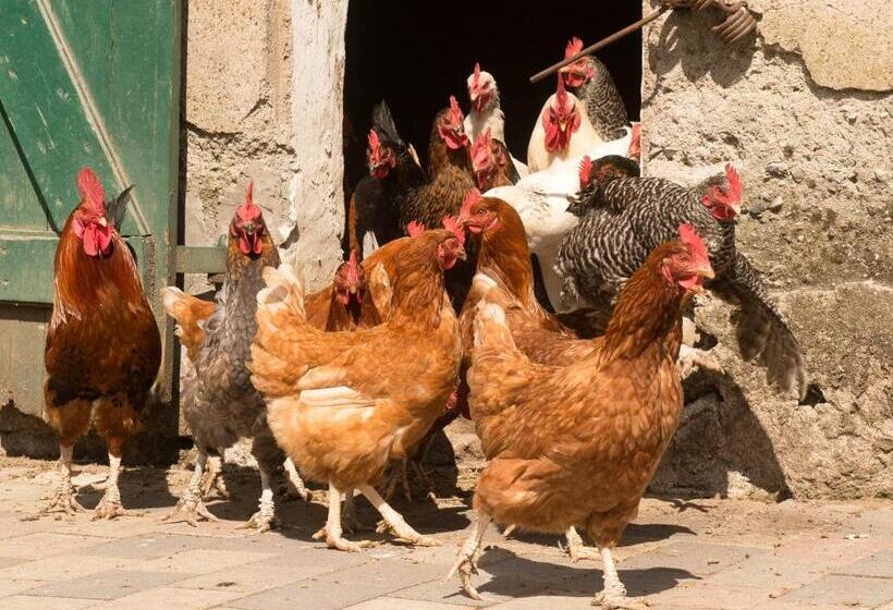 فندق صغير Landgasthof Kasch   Hotel Und Restaurant