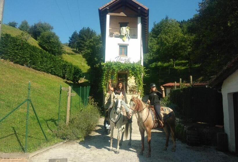 Albergue Usandi Auto Check In