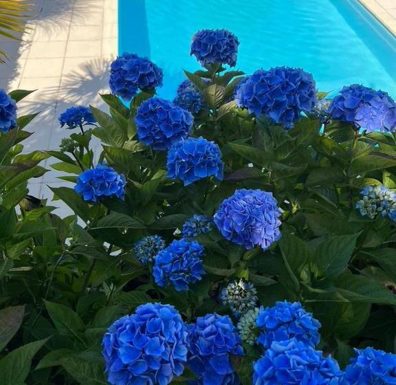 مبيت وإفطار Le Domaine D Etaville