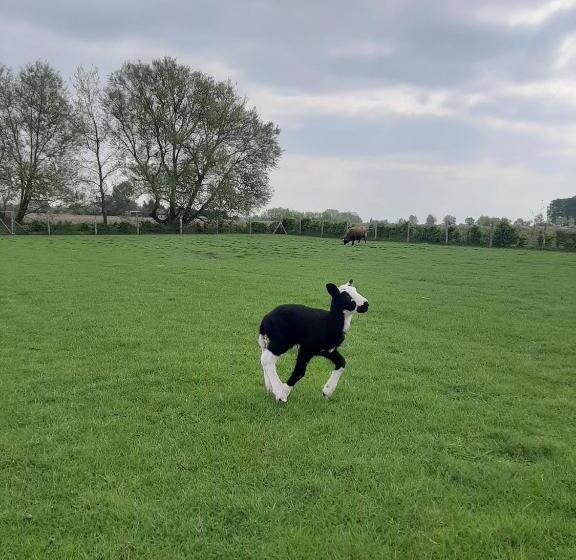 B & B Victors Hof, Met Zwemvijver In Landelijke Setting