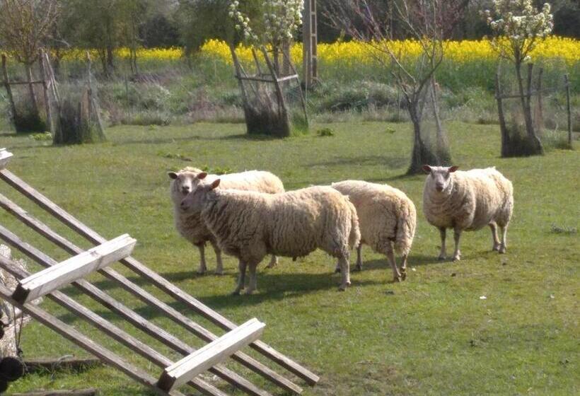 B&b Ferme De La Rouzannerie Pour 2 Ou Famille