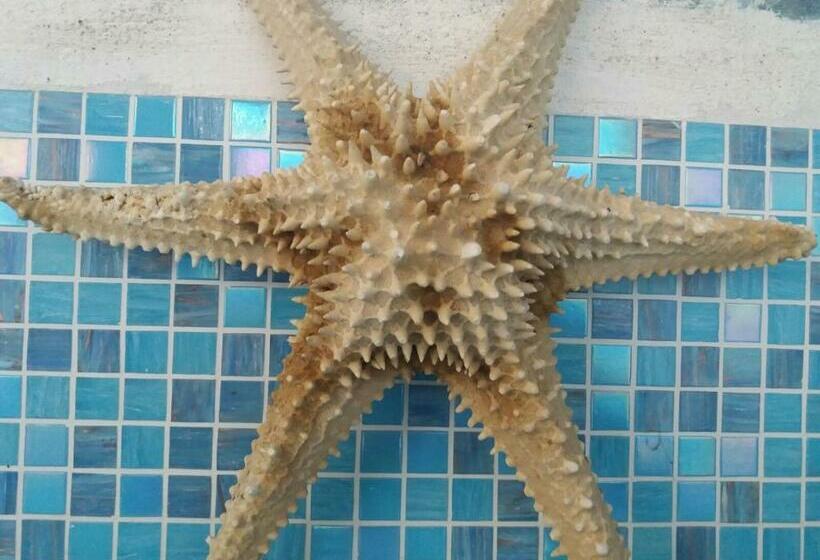 B&b Lo Spazio Magico