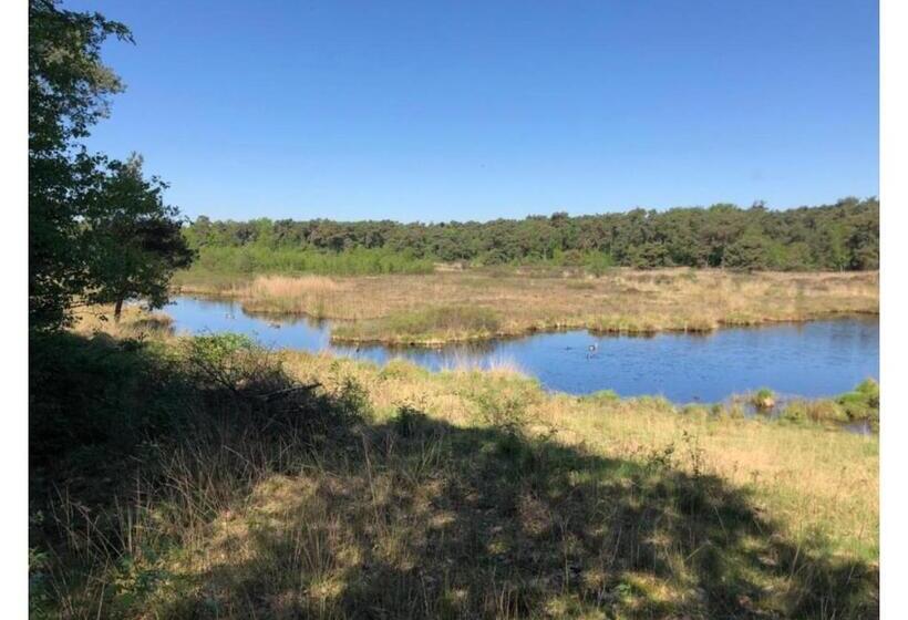 B&b  T Mjeels Pierke