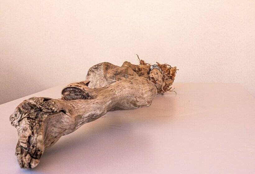 Bed and Breakfast 4u Bed & Spa