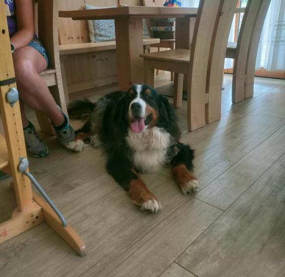 مبيت وإفطار Agritur Maso Flonkeri