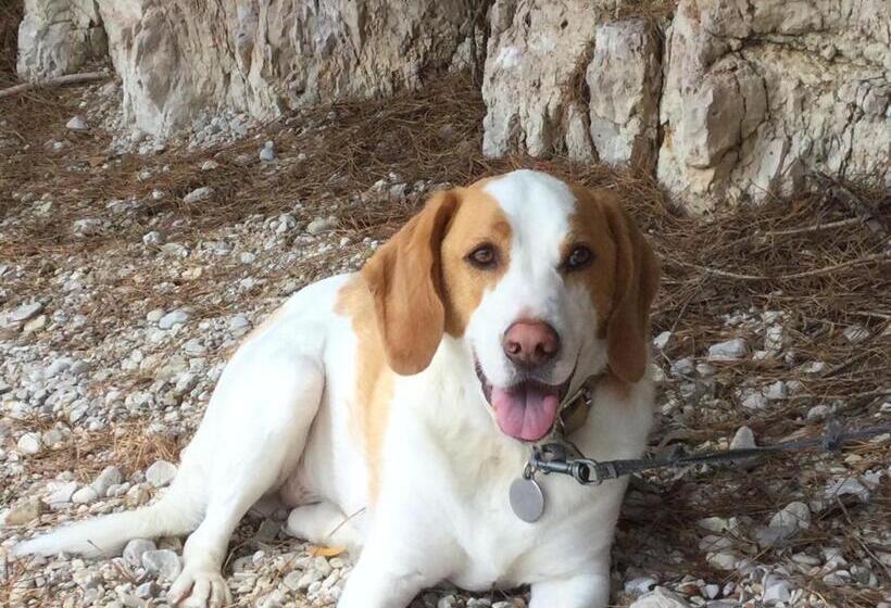 مبيت وإفطار Au Refuge De Blanche