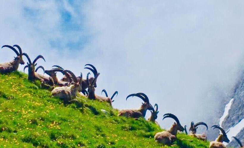 مبيت وإفطار Au Refuge De Blanche