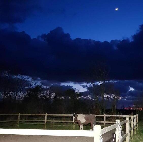 住宿加早餐  Au Soleil Vert   Chambre De Charme Avec Spa Et Sauna Privés