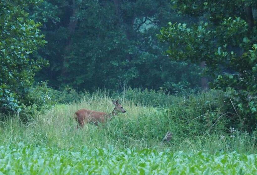 住宿加早餐  Bed & Brochje Burgum