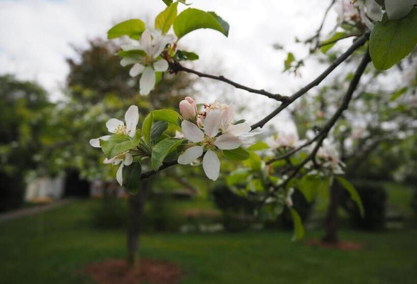 住宿加早餐  Bed & Brochje Burgum