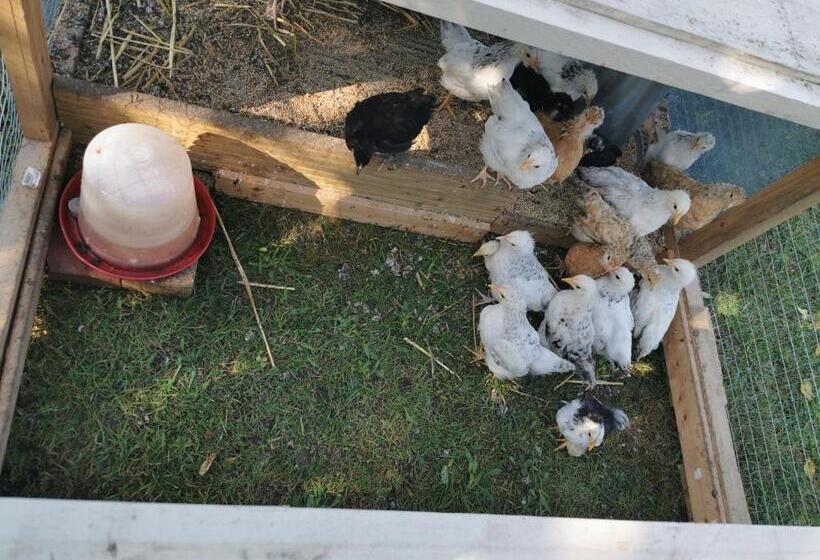 住宿加早餐  Bienvenue Chez Moi à Concevreux