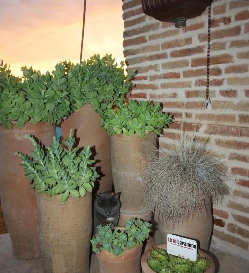 住宿加早餐  Chambre D Hotes De Jacobiel