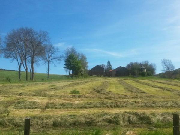 住宿加早餐  Chambres D Hotes Chateau D Arcis