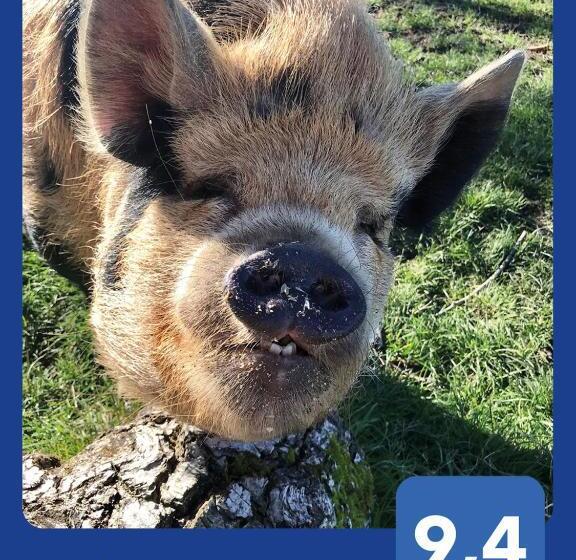 مبيت وإفطار Chambre D Hôtes Chez Gustave & Compagnie