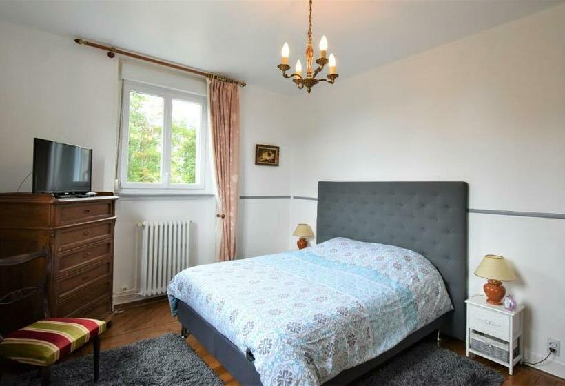 مبيت وإفطار Château De Broyes