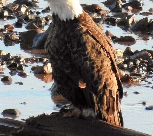 مبيت وإفطار Cresthaven By The Sea