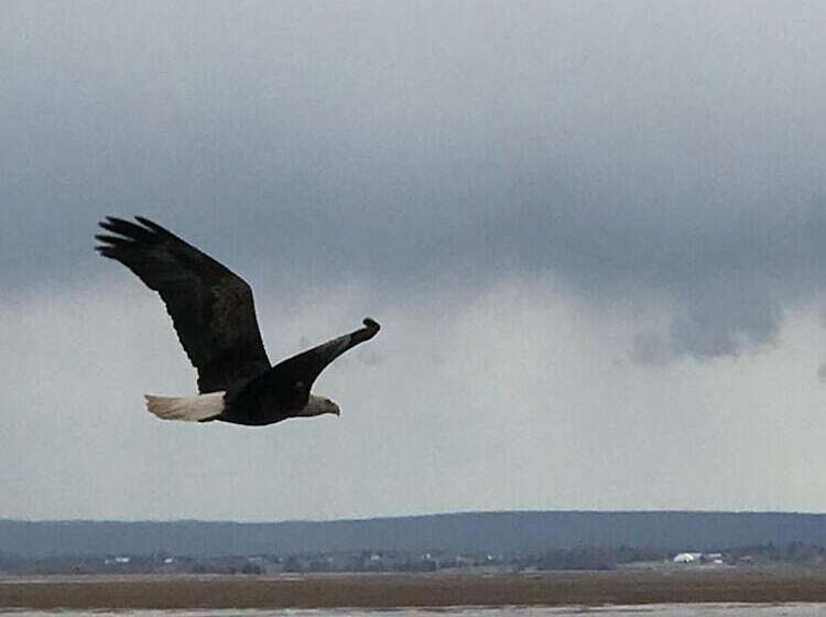 مبيت وإفطار Cresthaven By The Sea