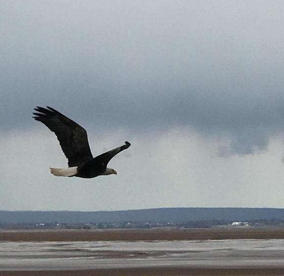 مبيت وإفطار Cresthaven By The Sea