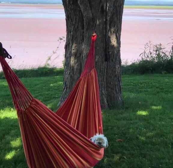 مبيت وإفطار Cresthaven By The Sea