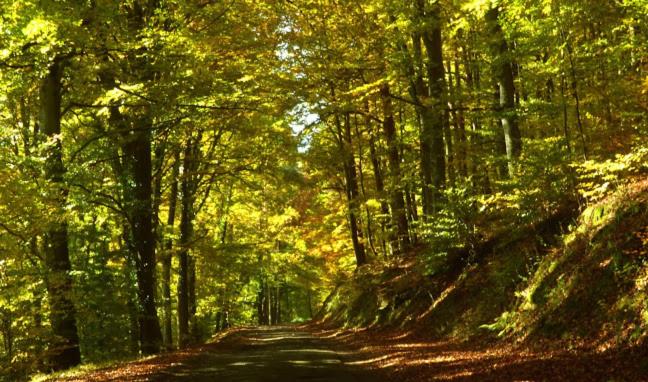 مبيت وإفطار Domaine Bleesz