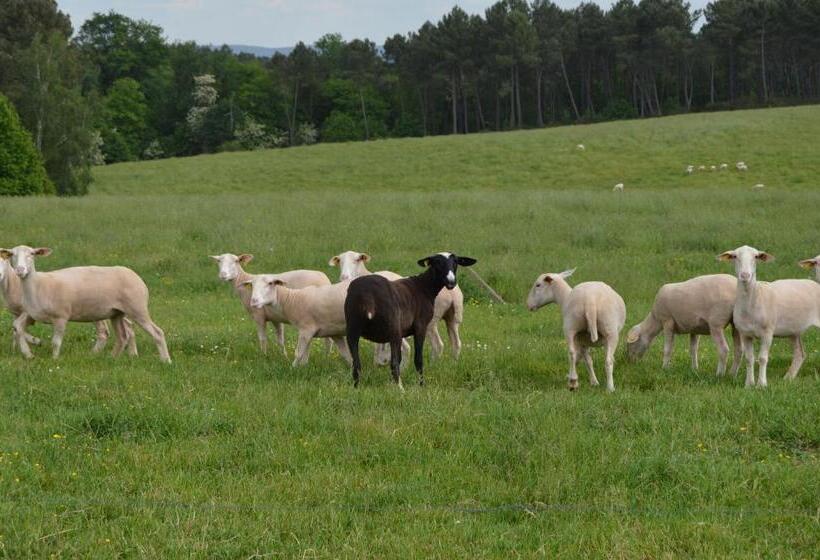 ベッドアンドブレックファースト Domaine De Chantegros