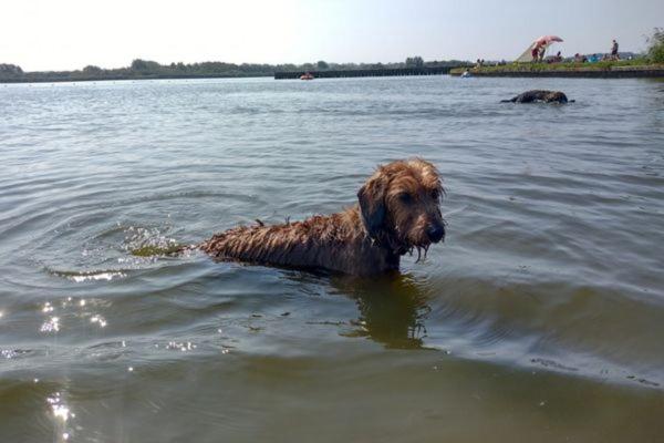 Bed and Breakfast Grytmanshoeve, Vakantiehuis Met Glamping