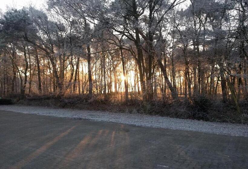 تختخواب و صبحانه In De Hei