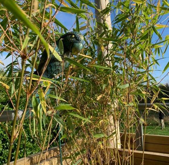 Bed and Breakfast La Bulle Suspendue