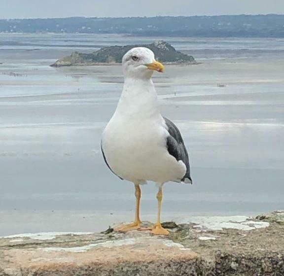 צימר La Canopée Du Mont
