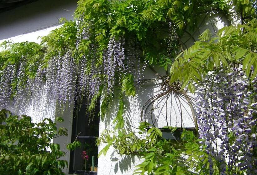 צימר La Colline Des Roses