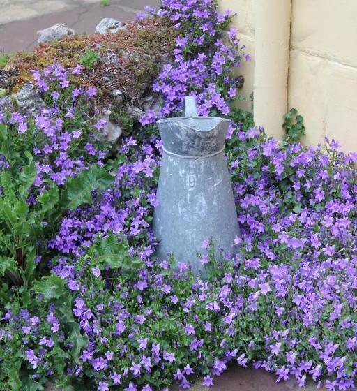 مبيت وإفطار Le Chemin Du Village