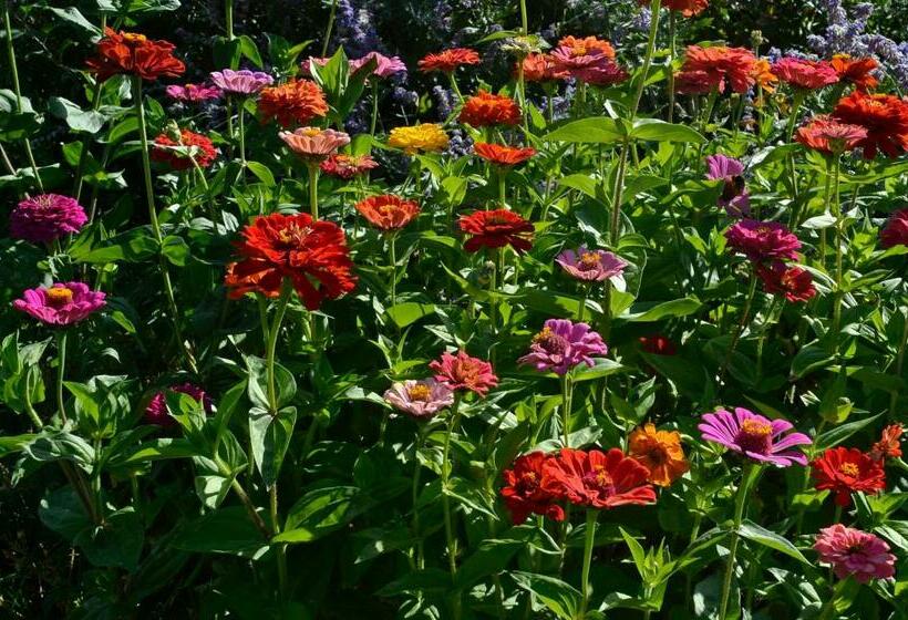 住宿加早餐  Les Hauts Du Causse