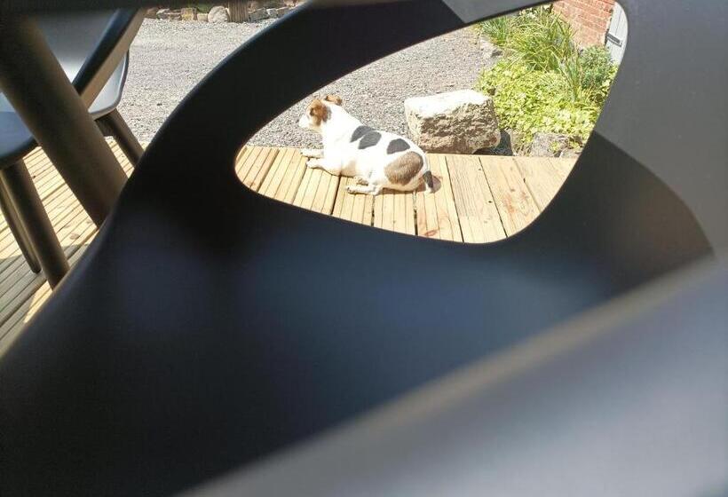 مبيت وإفطار Les Muches