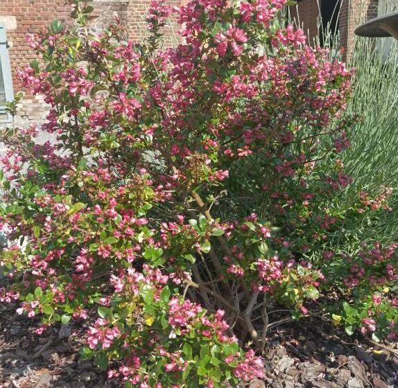 مبيت وإفطار Les Muches