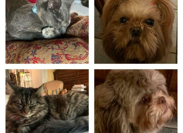 צימר Maison D Hôtes Entre Amis