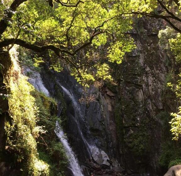 ベッドアンドブレックファースト Mountainhome Casa Cancelinha