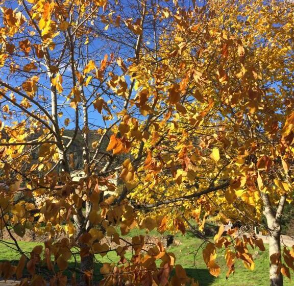 ベッドアンドブレックファースト Mountainhome Casa Cancelinha