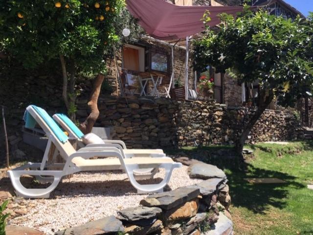 ベッドアンドブレックファースト Mountainhome Casa Cancelinha