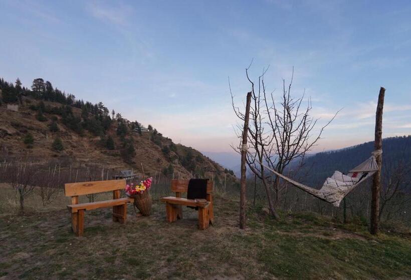 ベッドアンドブレックファースト Nirvana Homes Rarta