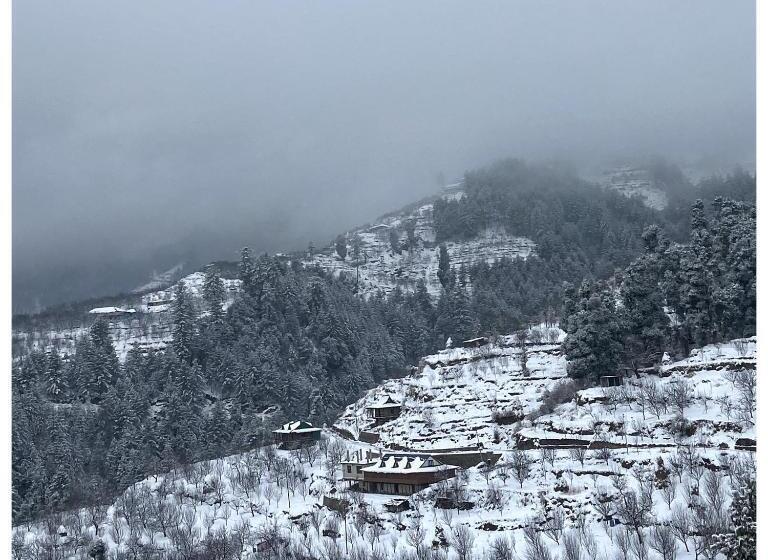 ベッドアンドブレックファースト Nirvana Homes Rarta