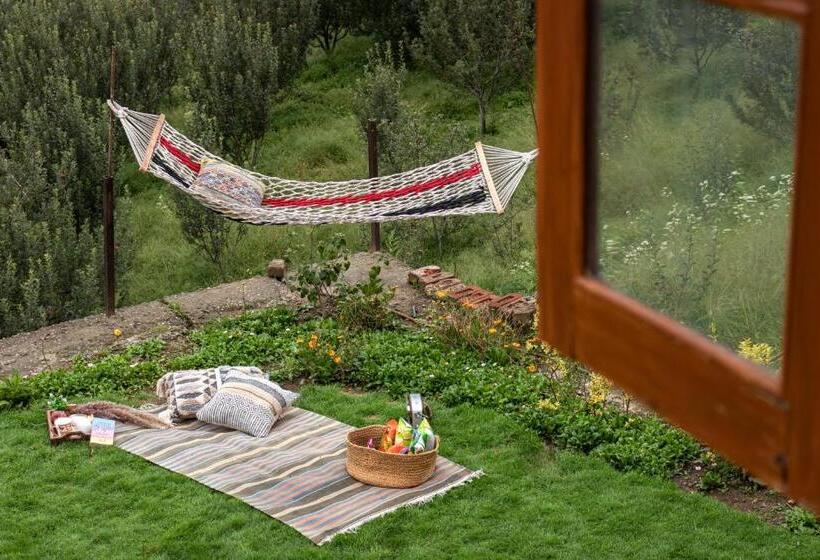 ベッドアンドブレックファースト Nirvana Homes Rarta