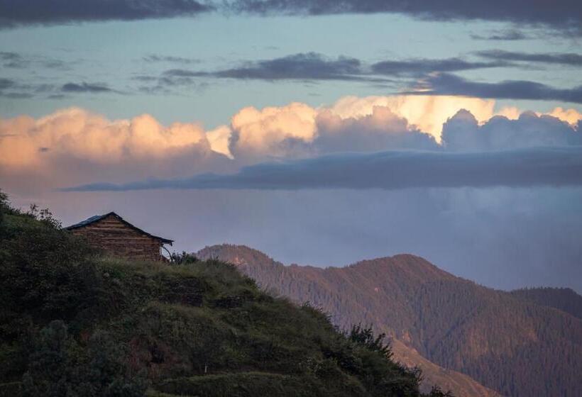 ベッドアンドブレックファースト Nirvana Homes Rarta