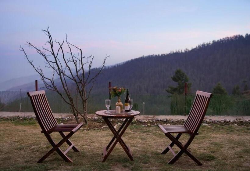 ベッドアンドブレックファースト Nirvana Homes Rarta