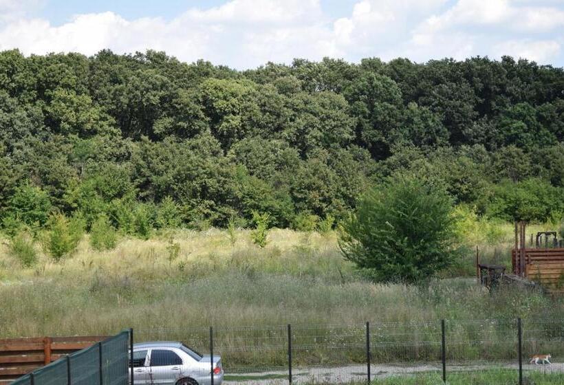 Bed and Breakfast Pensiunea Corbeanca   Cazare Si Evenimente