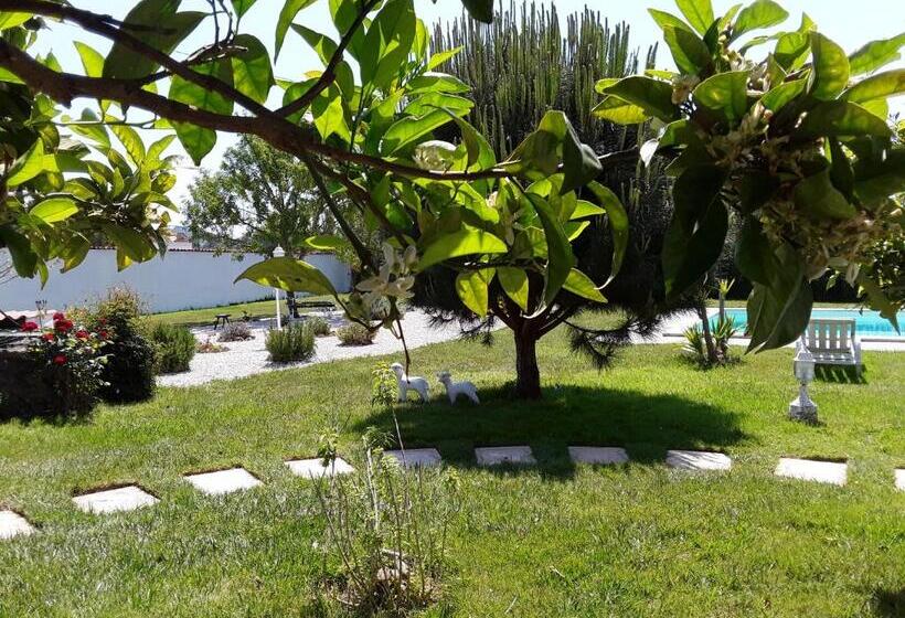 مبيت وإفطار Quinta Camargue